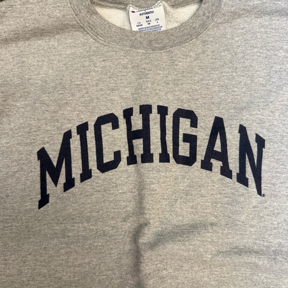 Champion University of Michigan Oxford Gray Basic Crewneck Sweatshirt - Picture 3 of 10